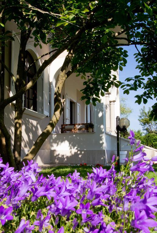 La Coralia B&B Massa  Ngoại thất bức ảnh